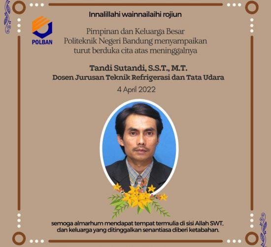 Tandi SUtandi