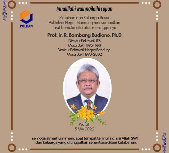 Bambang Budiono