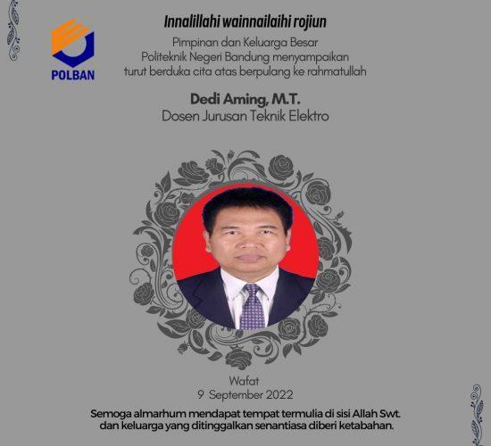 dedi aming