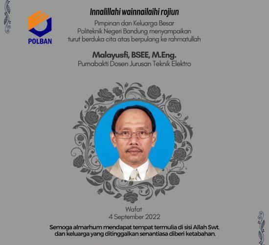malayusfi