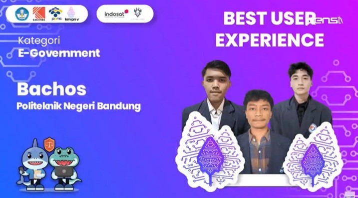 best ux bachos