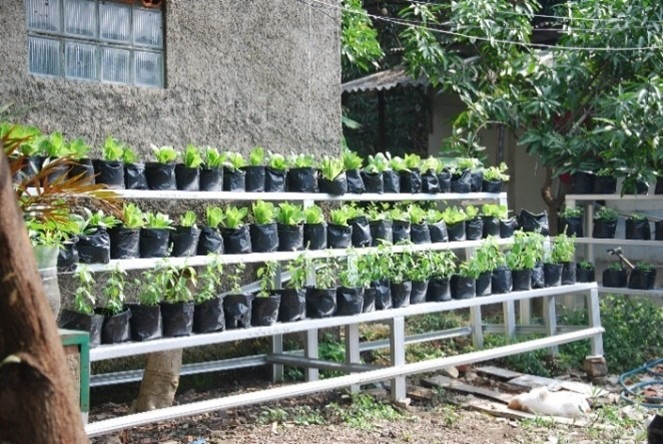 Kebun Komunitas
